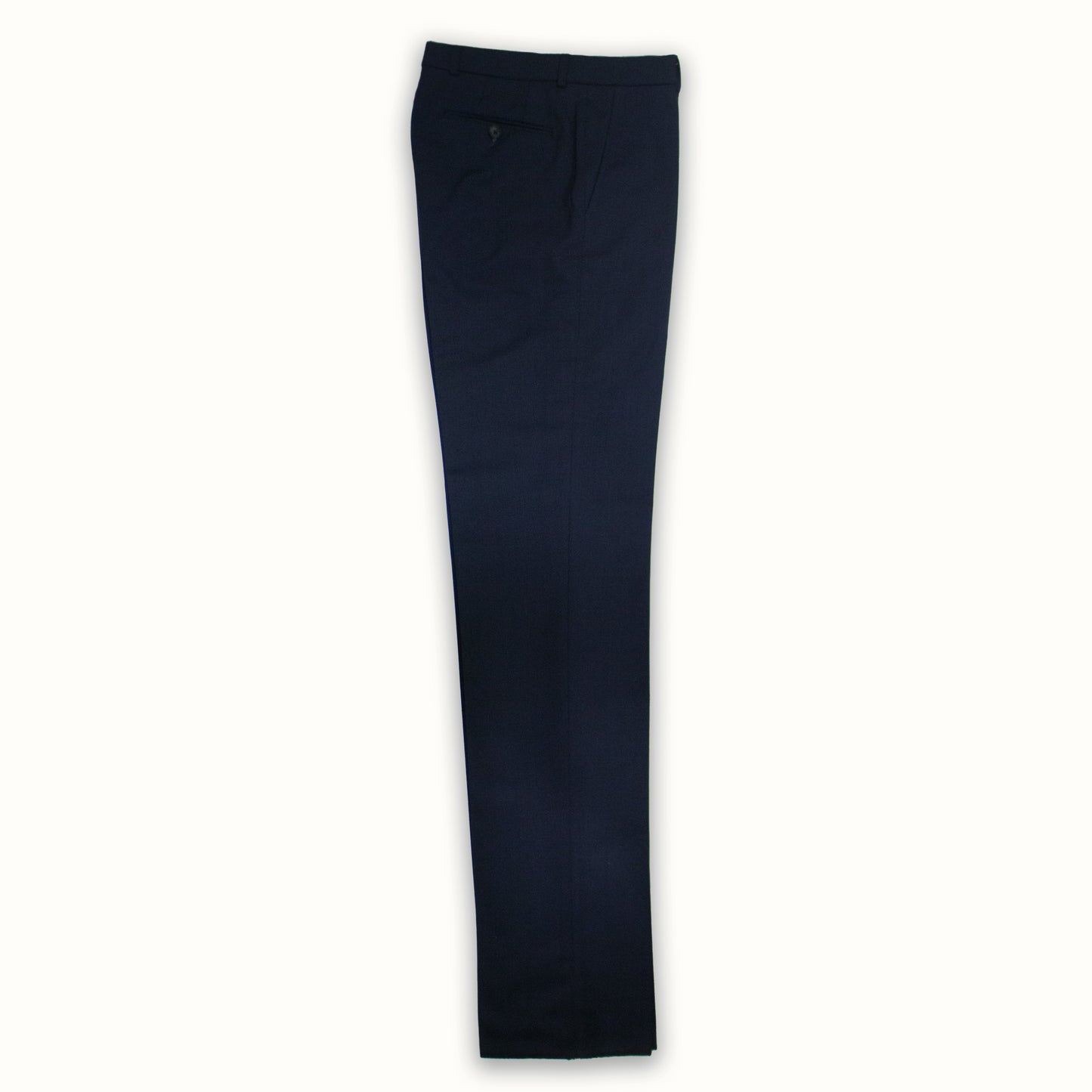 Slim Fit Solid Blue Pants